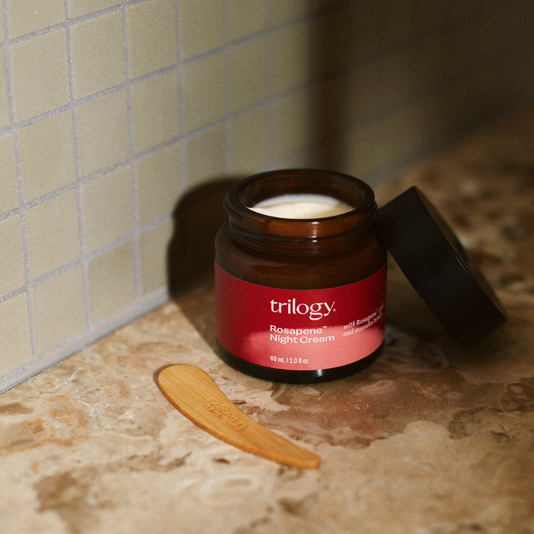 Barriere & Schutz Duo